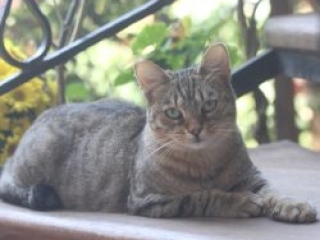 Venetis Outside Photos (1)