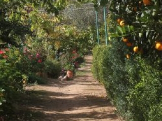 Venetis Outside Photos (2)