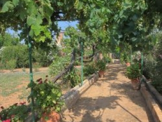 Venetis Outside Photos (22)
