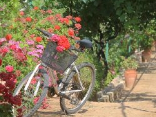 Venetis Outside Photos (28)