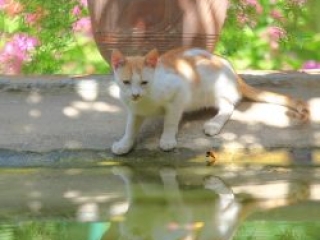 Venetis Outside Photos (29)