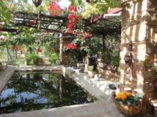 Venetis Outside Photos (3)